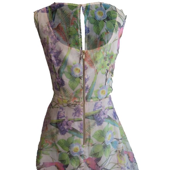 EUC Hummingbird Tea Party Dress Fit & Flare - Dress Barn (US 16) ❧ - Picture 4 of 8